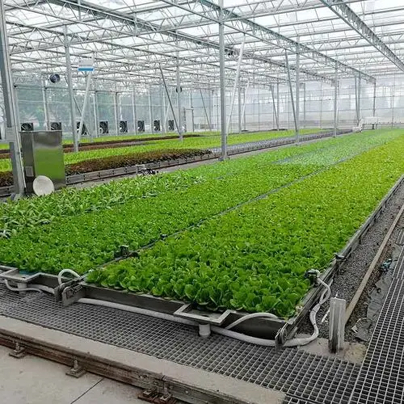 三沙市玻璃温室水培 - 推荐
